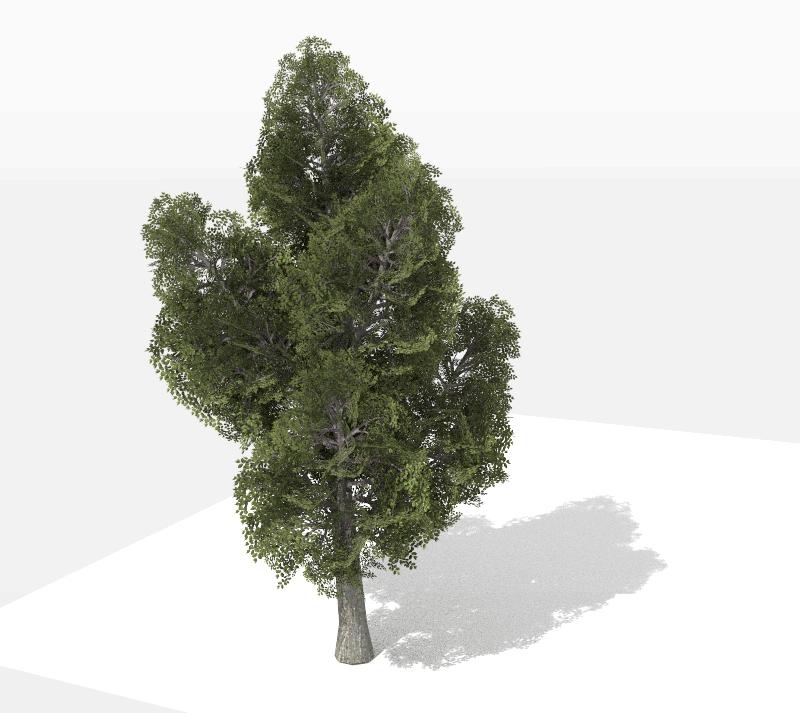 SketchUp-recursive-tree-Exterior-51seconds.jpg