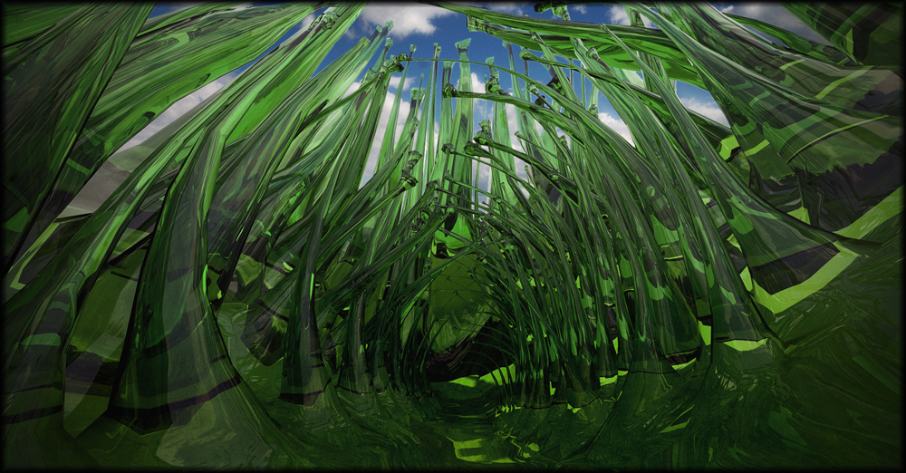 glass_forest_no_logo_small.jpg