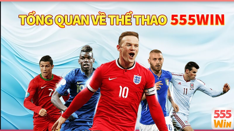 Tổng quan về sảnh thể thao 555win Tổng quan về sảnh thể thao 555win