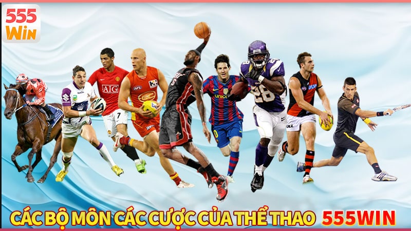 Các bộ môn cá cược đáng thử tại thể thao 555win Các bộ môn cá cược đáng thử tại thể thao 555win