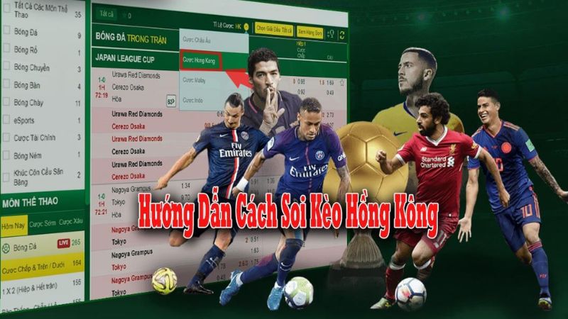 Hướng dẫn chi tiết cách đọc tỷ lệ kèo Hong Kong Hướng dẫn chi tiết cách đọc tỷ lệ kèo Hong Kong